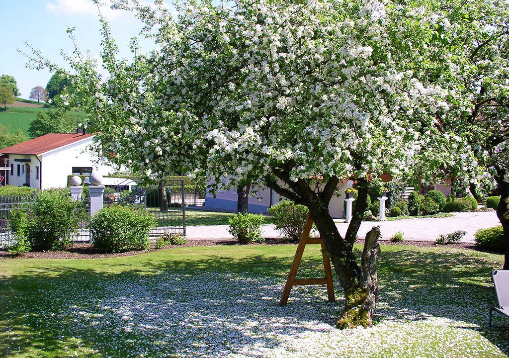 Photo of Outdoor in Bad Birnbach