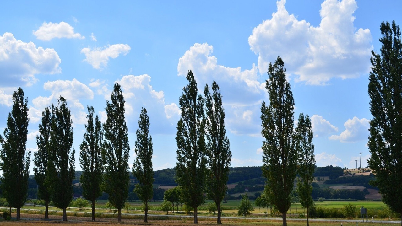 Photo of Others in Untermerzbach