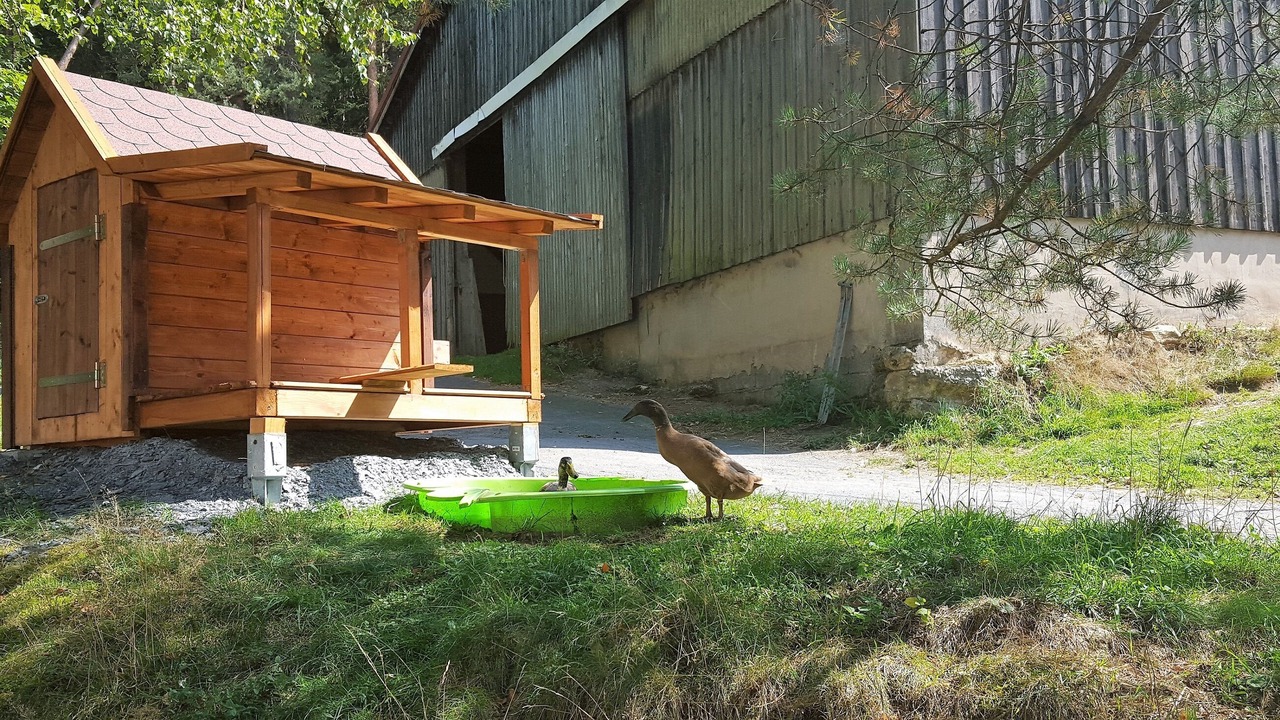 Photo of Outdoor in Weissenstadt