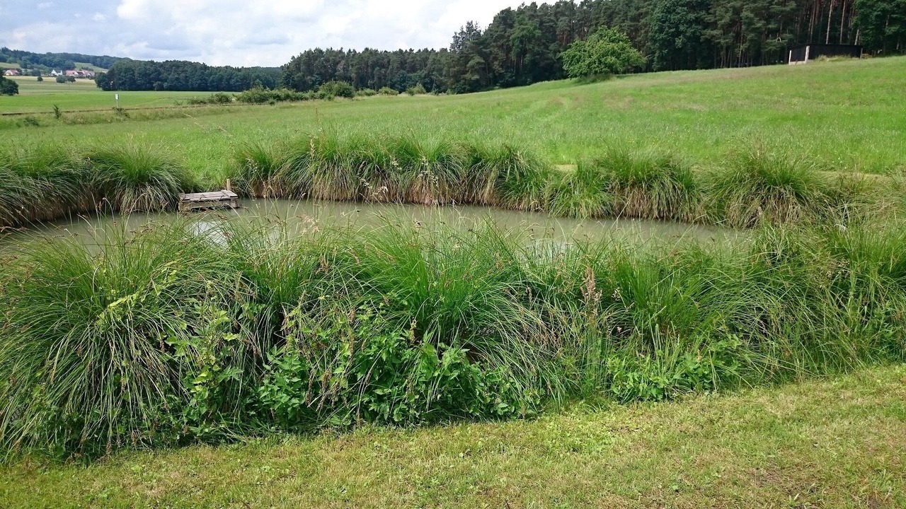 Photo of Outdoor in Ramsberg