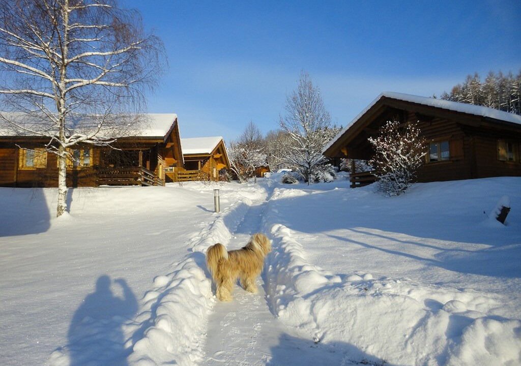 Photo of Outdoor in Stamsried