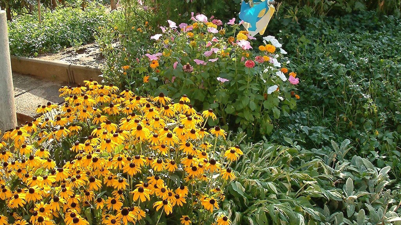 Photo of Outdoor in Merkendorf