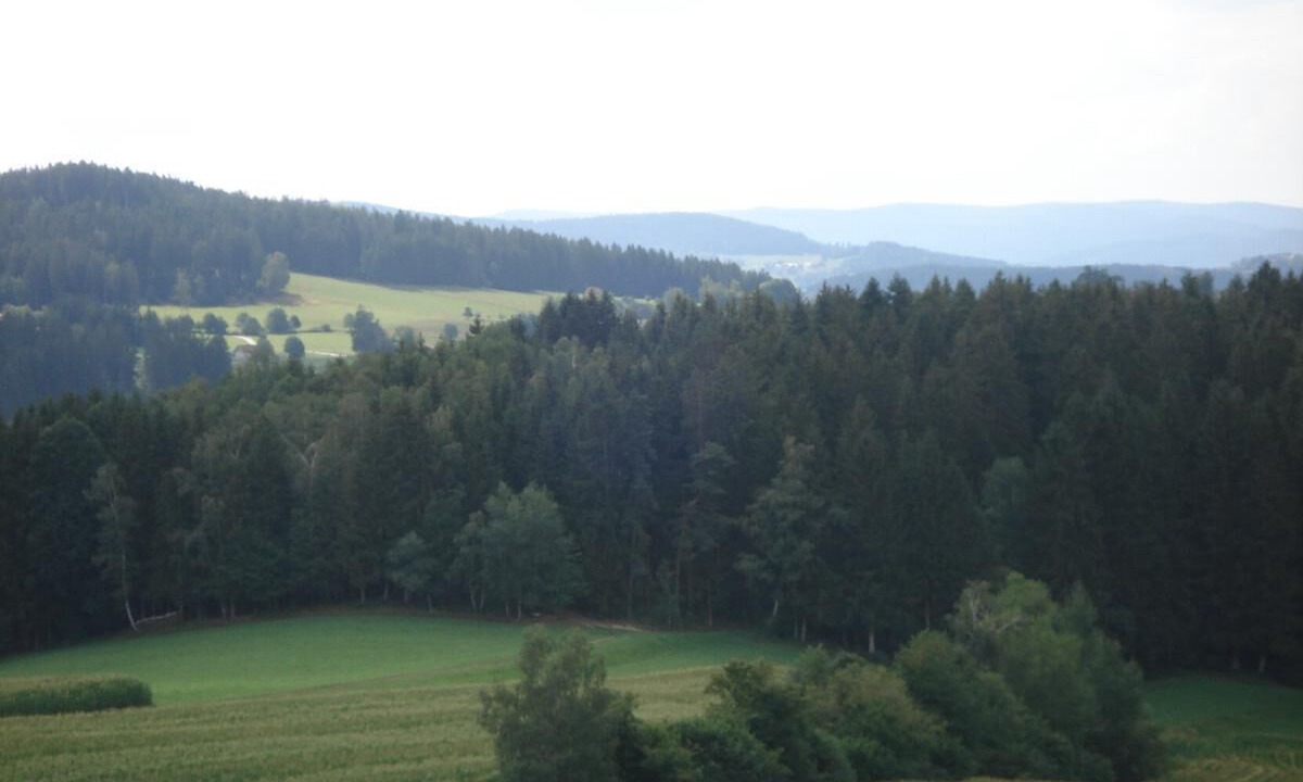 Photo of Others in Honigsgrub
