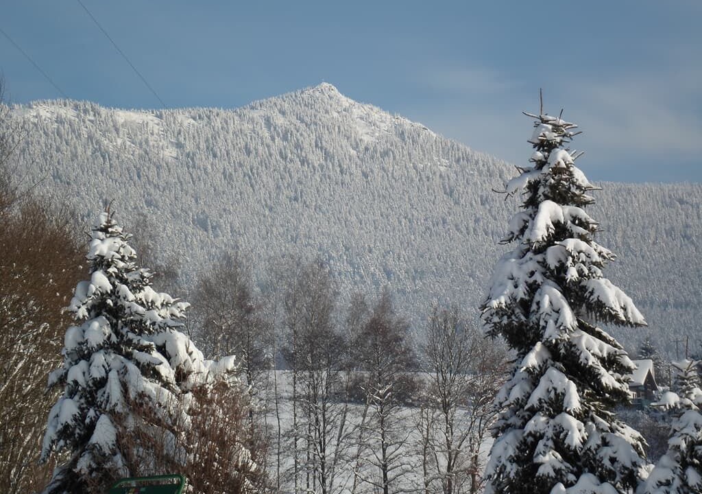Photo of Outdoor in Lam