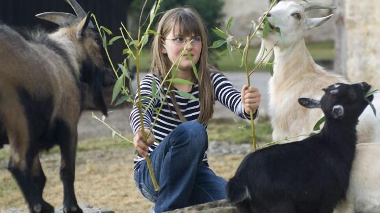 Photo of Others in Itzgrund
