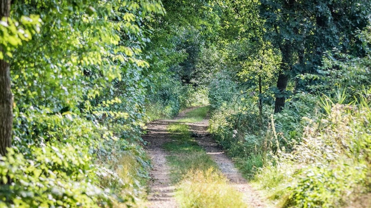 Photo of Others in Barnzell