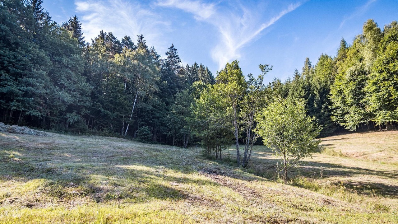 Photo of Others in Barnzell