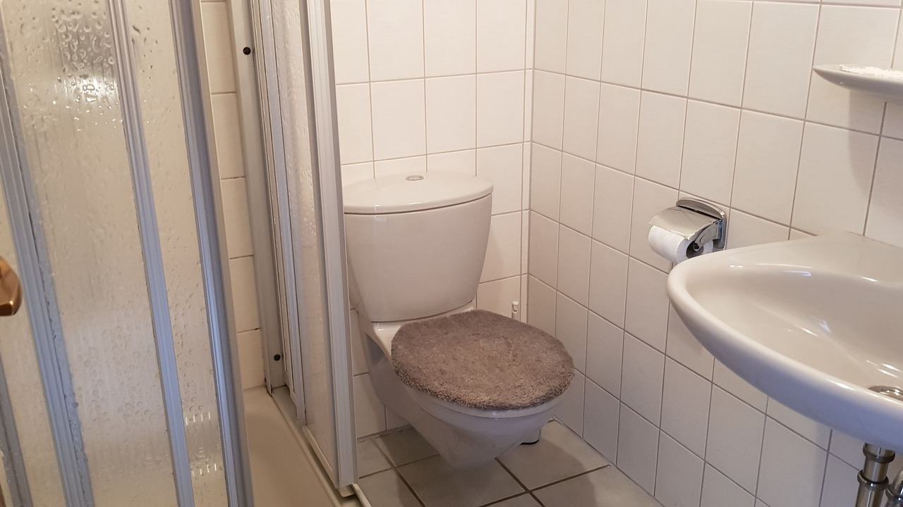 Photo of Bathroom in Wildensee