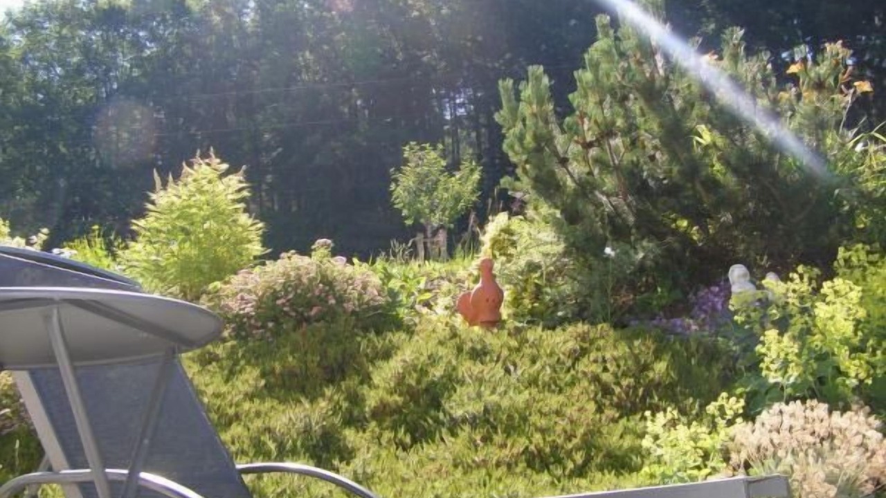 Photo of Outdoor in Wildensee