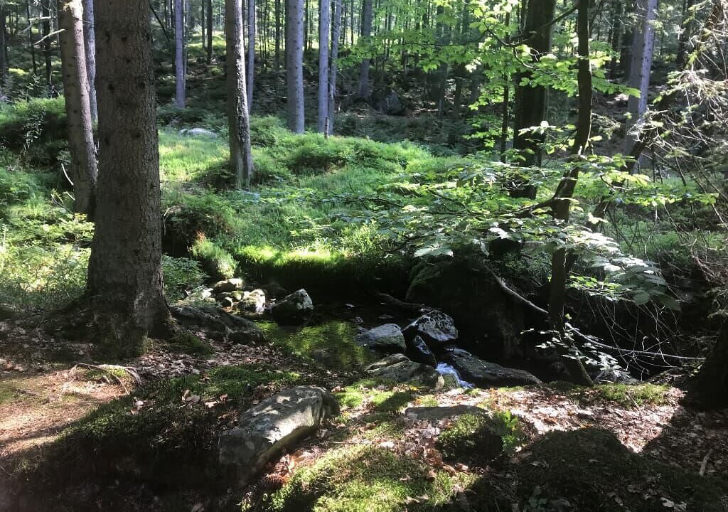 Photo of Outdoor in Kotzting