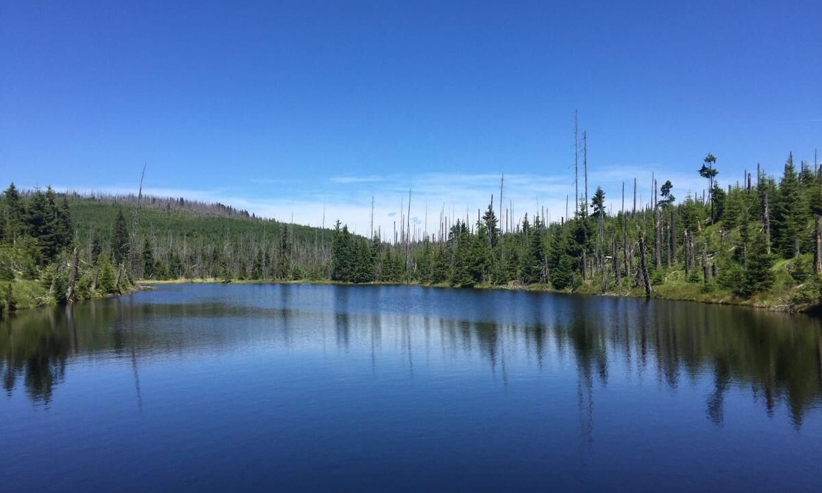 Photo of Outdoor in Finsterau