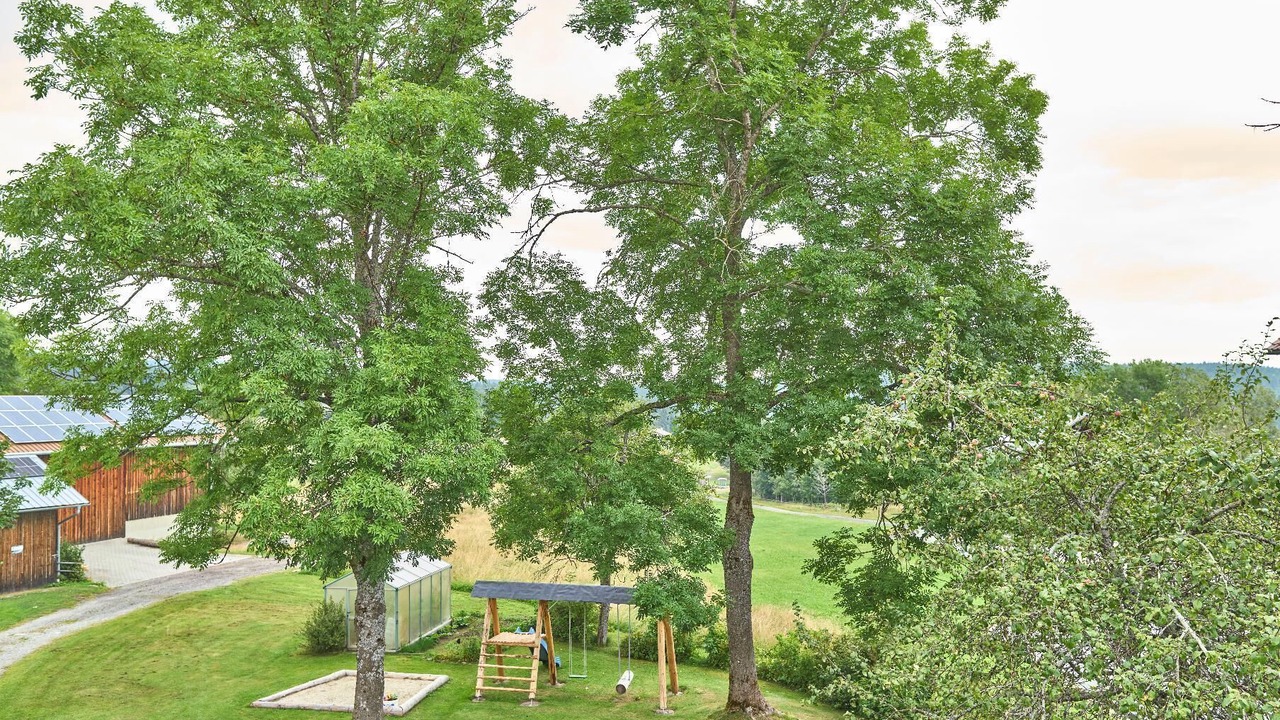 Photo of Outdoor in Finsterau