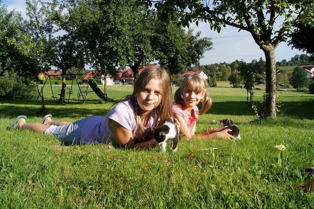 Photo of Others in Falkenstein
