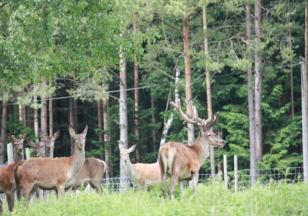 Photo of Outdoor in Tirschenreuth