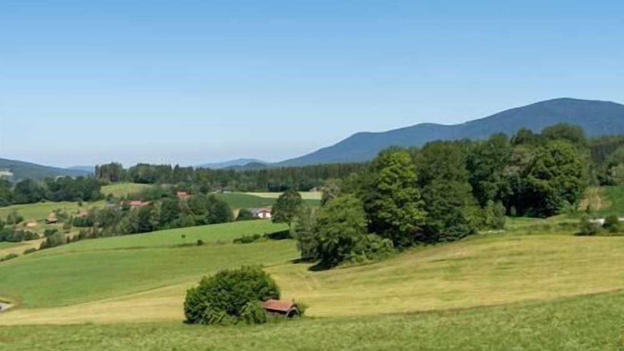 Photo of Others in Blachendorf