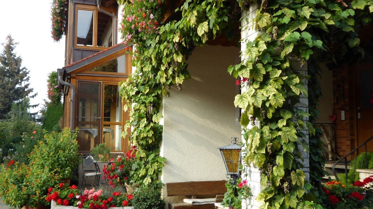 Photo of Outdoor in Haundorf