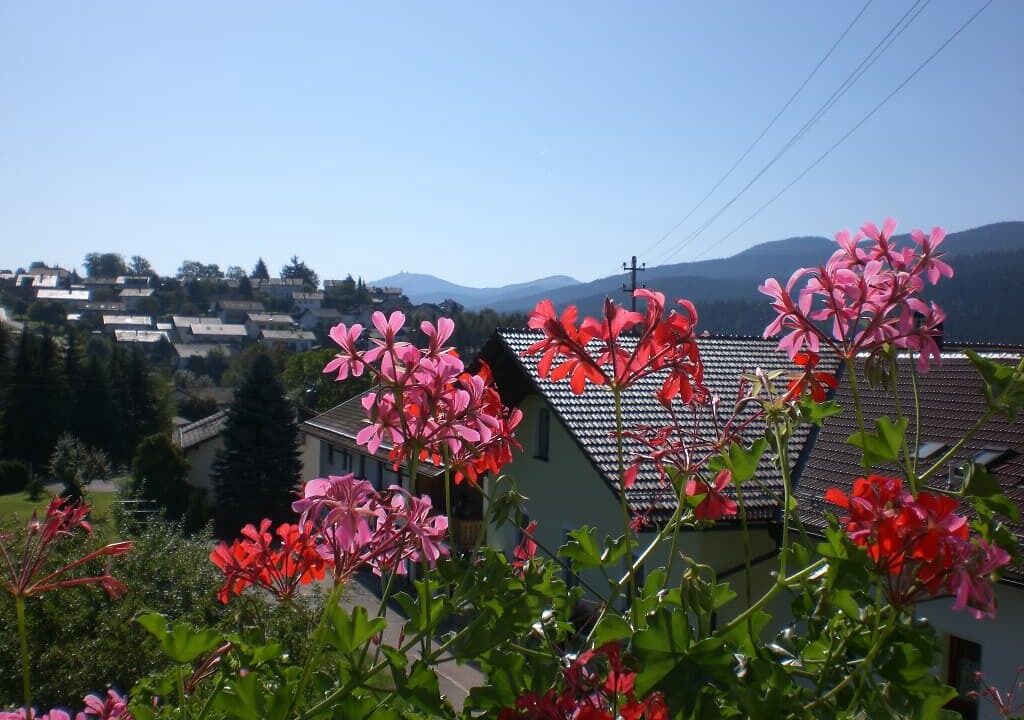 Photo of Outdoor in Lam