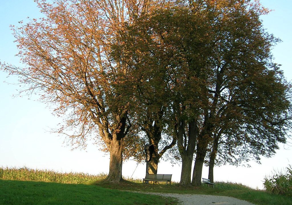 Photo of Outdoor in Hartkirchen