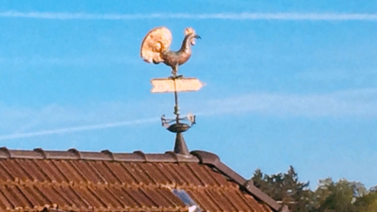 Photo of Others in Marktheidenfeld