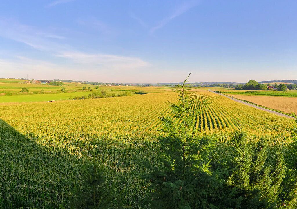 Photo of Outdoor in Hartkirchen