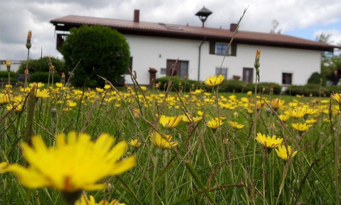 Photo of Outdoor in Zwolfhauser
