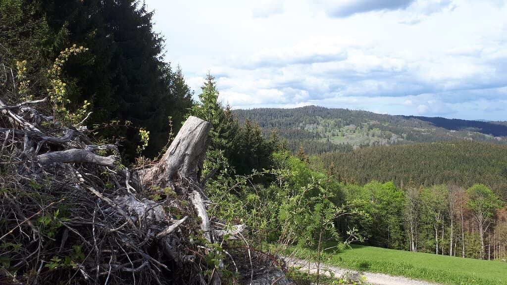 Photo of Outdoor in Mitterfirmiansreut