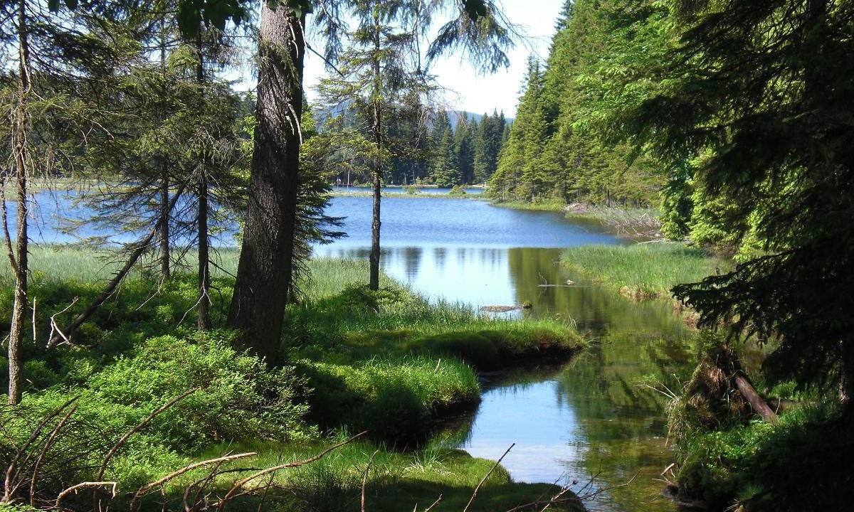 Photo of Outdoor in Klingenbrunn