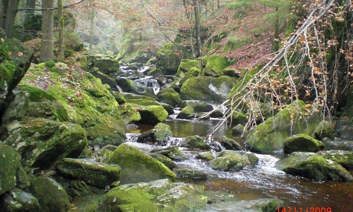 Photo of Outdoor in Klingenbrunn