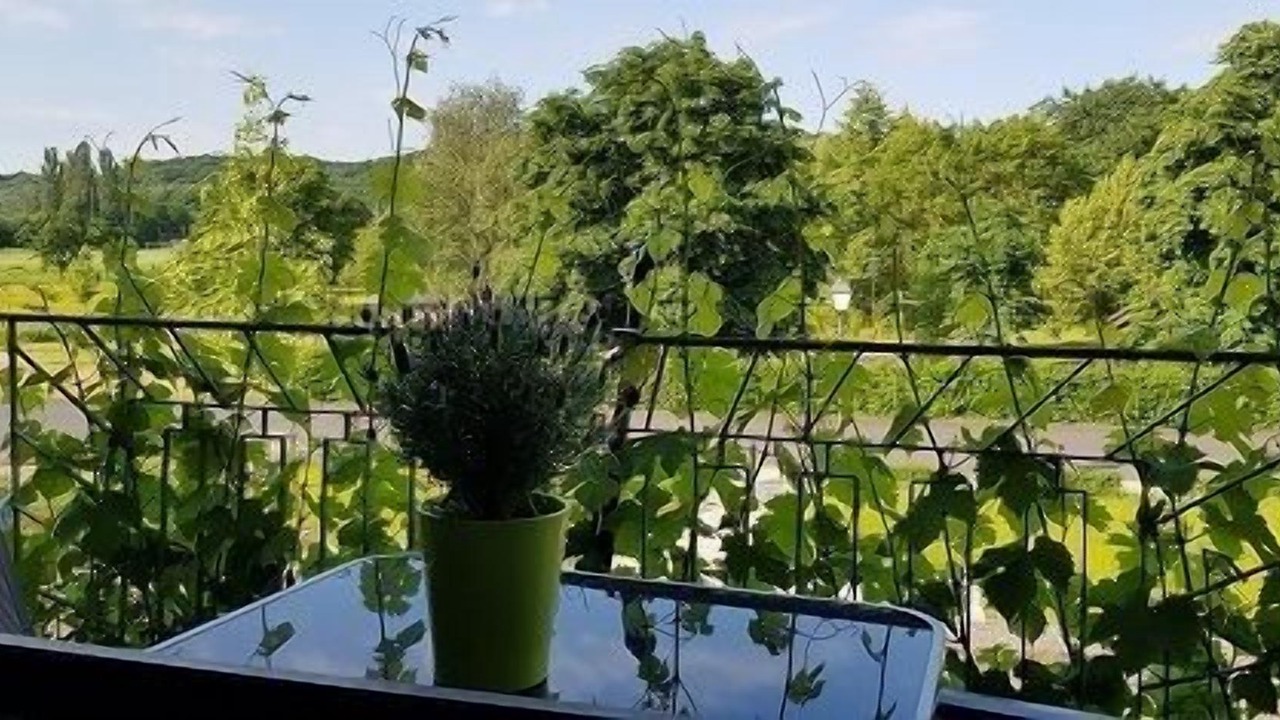 Photo of Outdoor in Sommerach