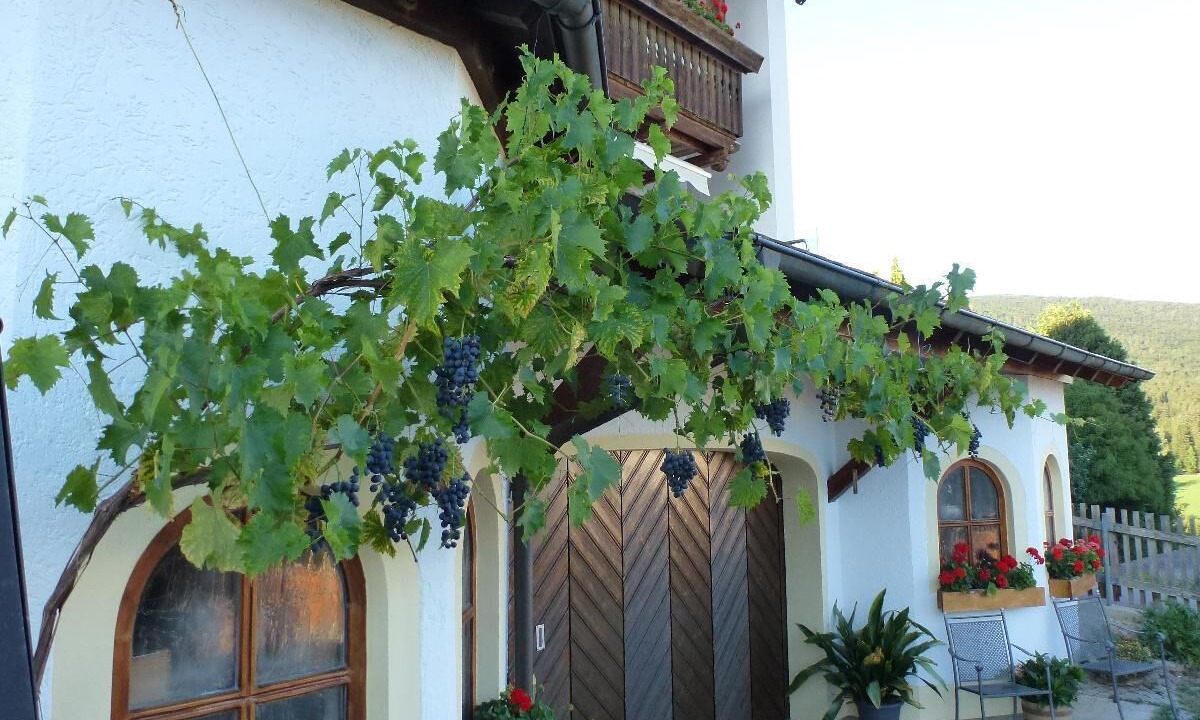 Photo of Outdoor in Rimbach