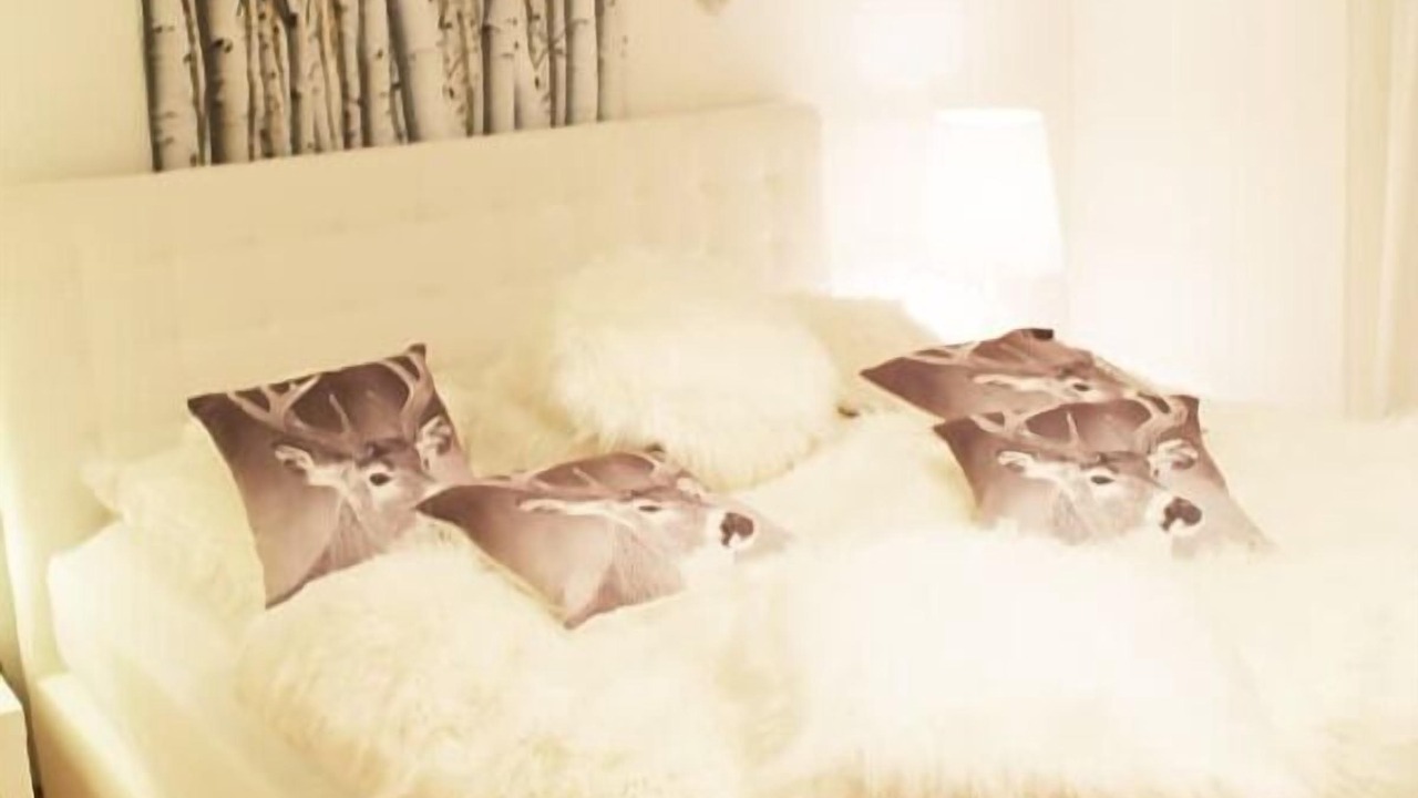 Photo of Bedroom in Buchet