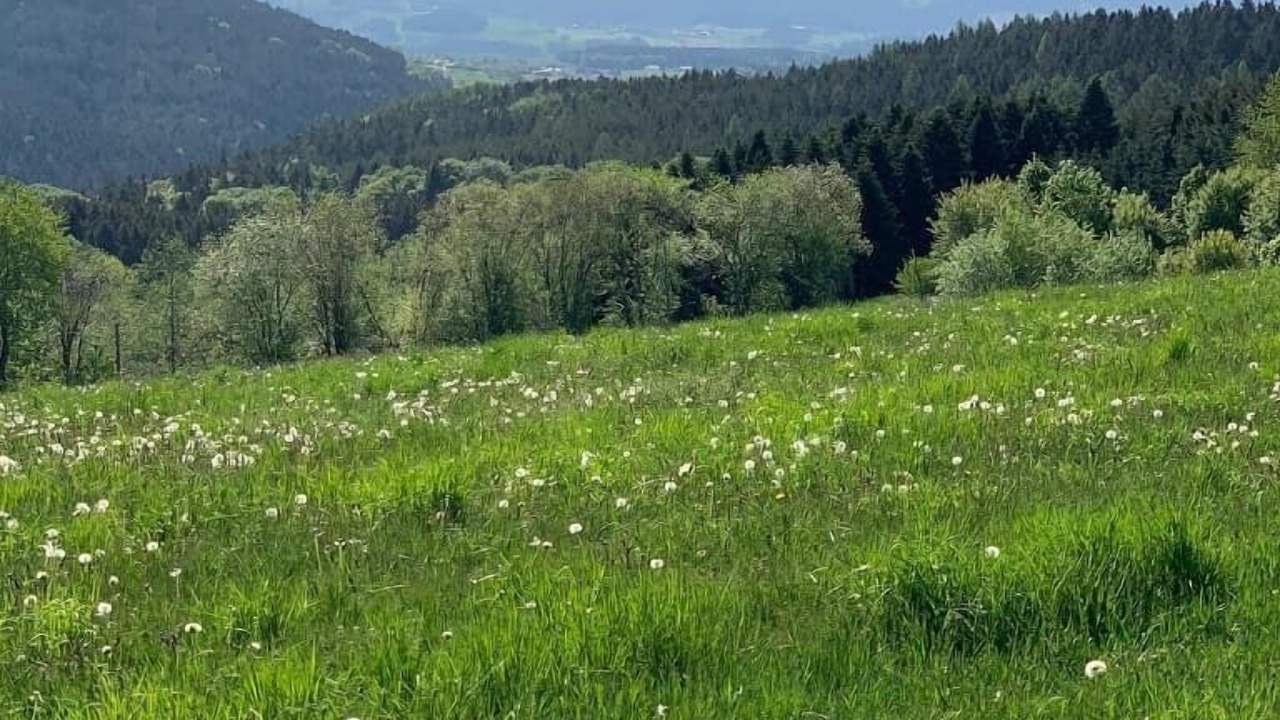 Photo of Outdoor in Traitsching