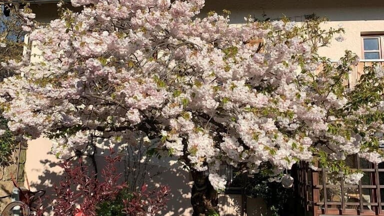 Photo of Outdoor in Traitsching
