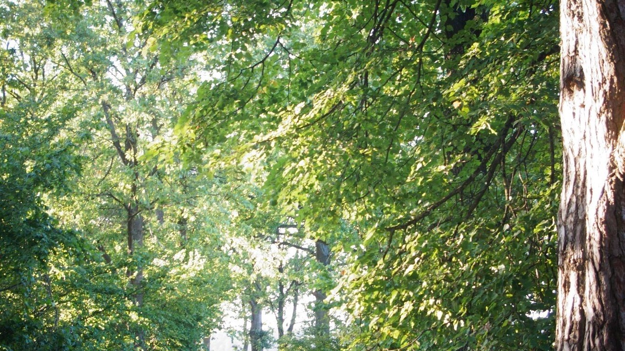 Photo of Outdoor in Buchelberg