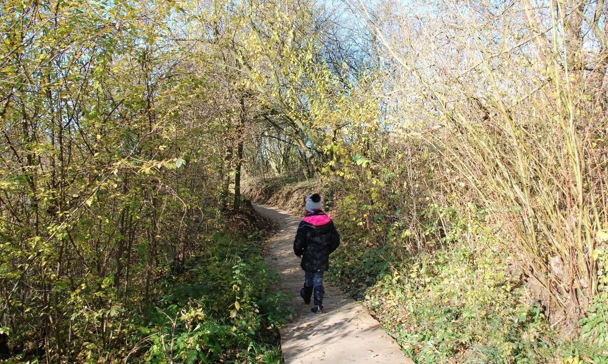 Photo of Outdoor in Frauenau