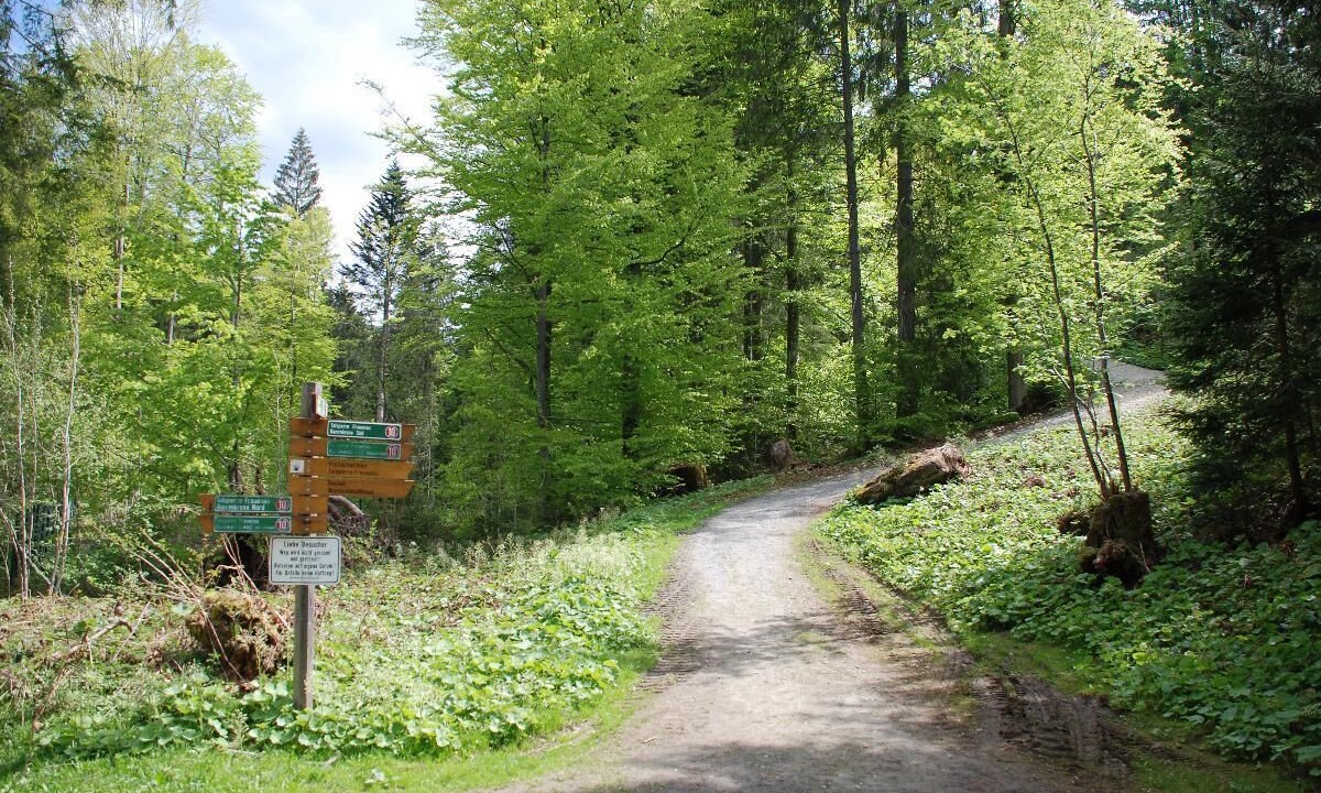 Photo of Outdoor in Frauenau