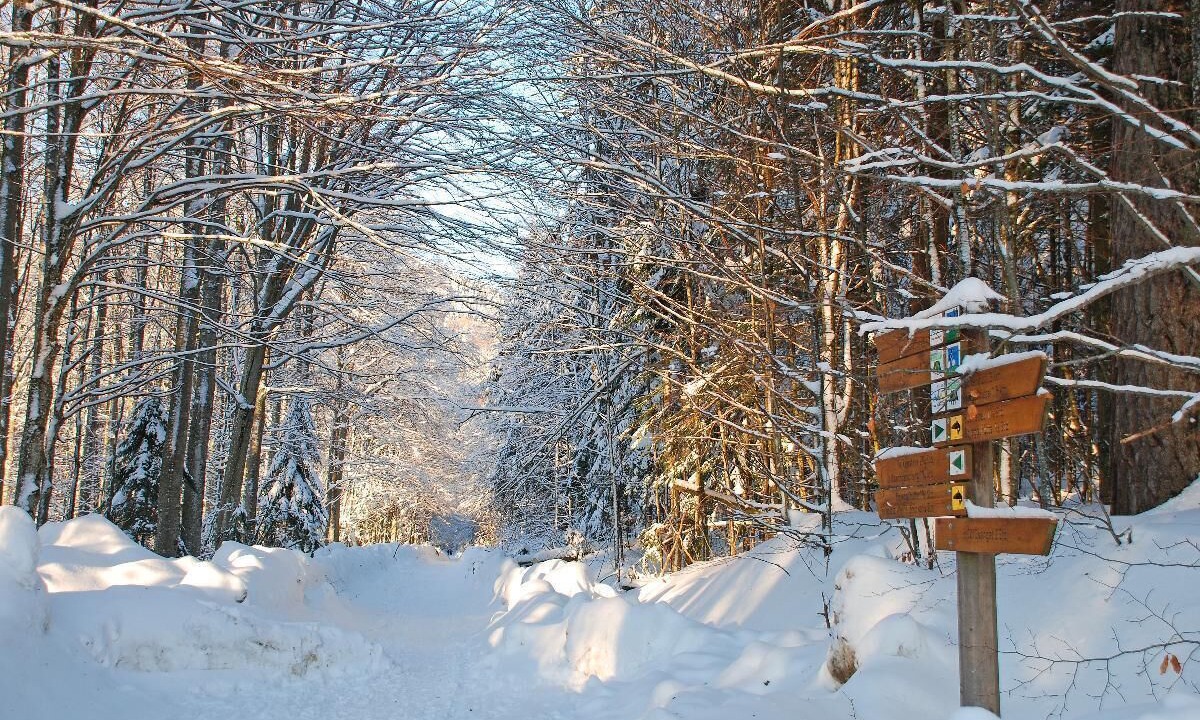 Photo of Outdoor in Frauenau