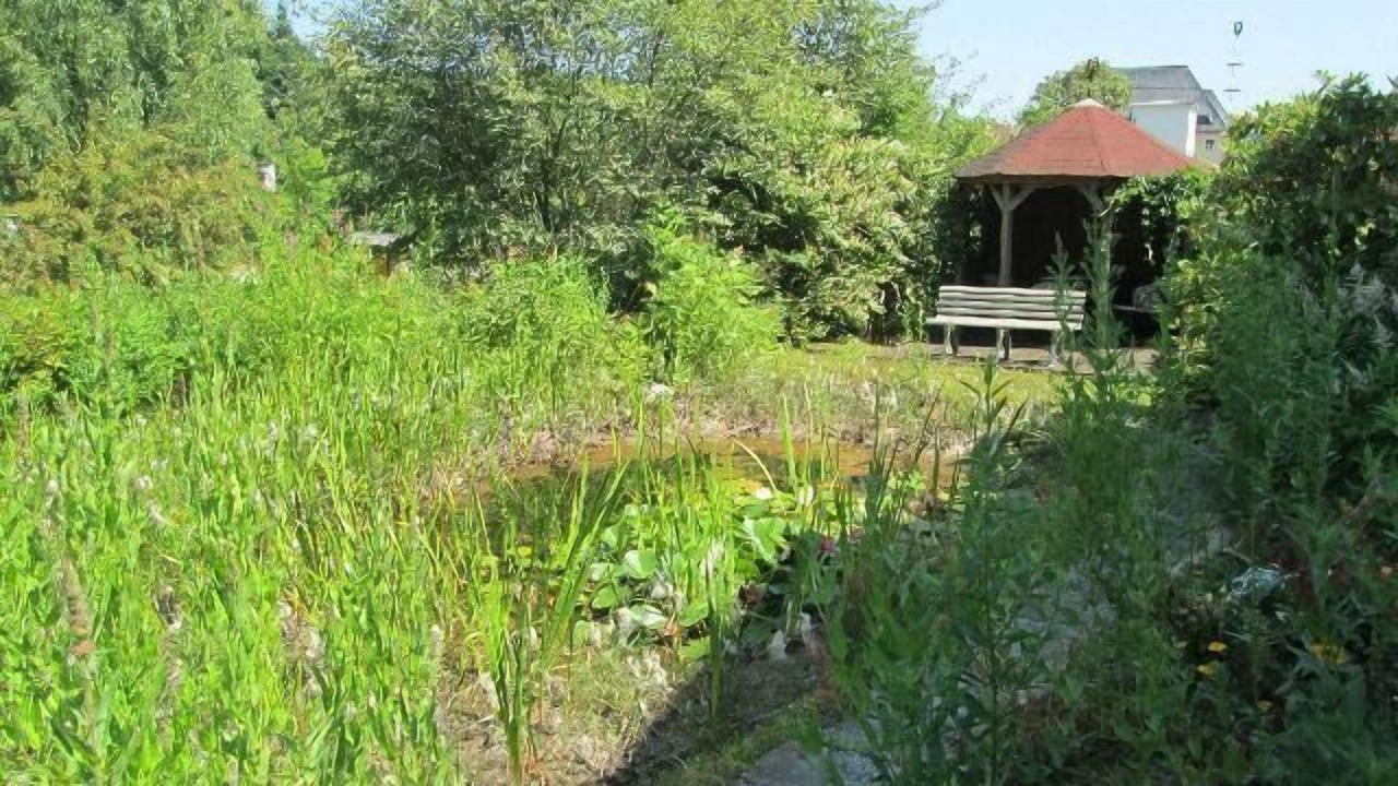 Photo of Outdoor in Bayerisch Eisenstein