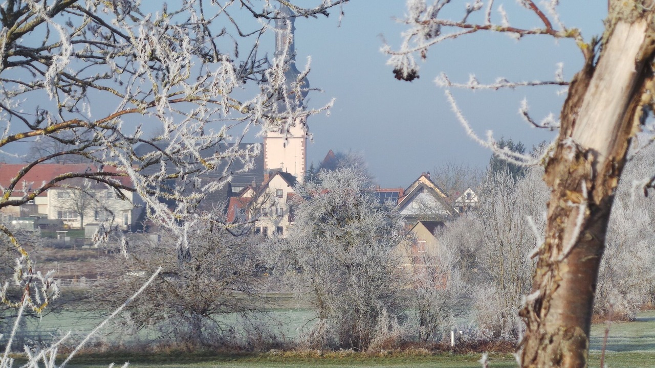 Photo of Others in Tauberbischofsheim