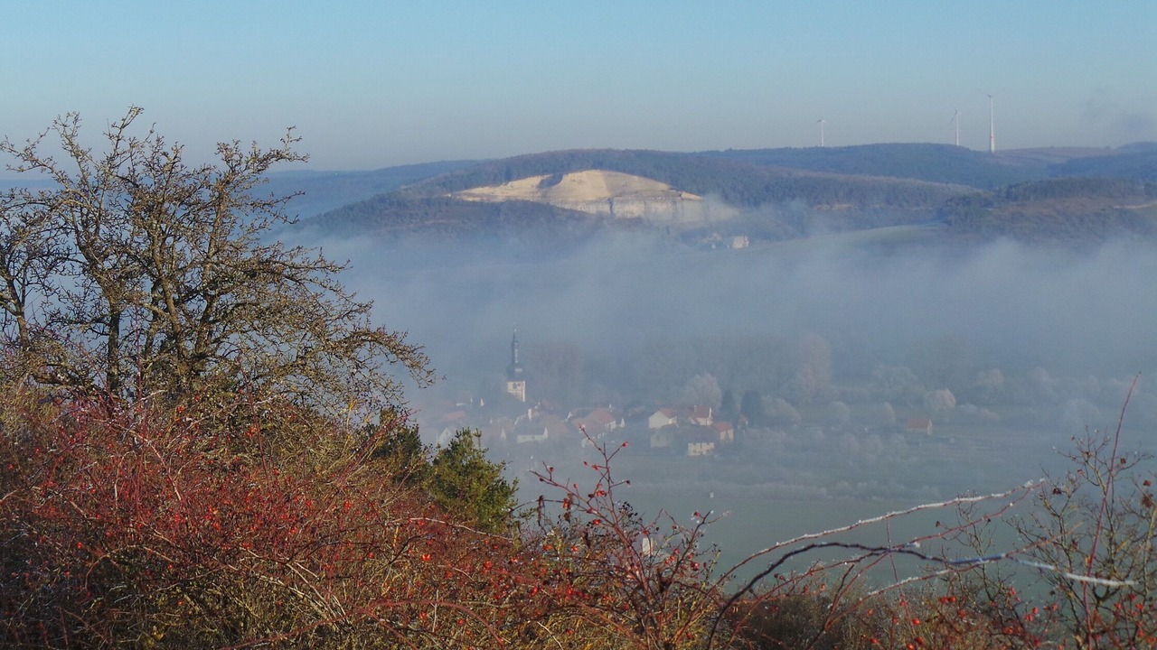 Photo of Others in Tauberbischofsheim