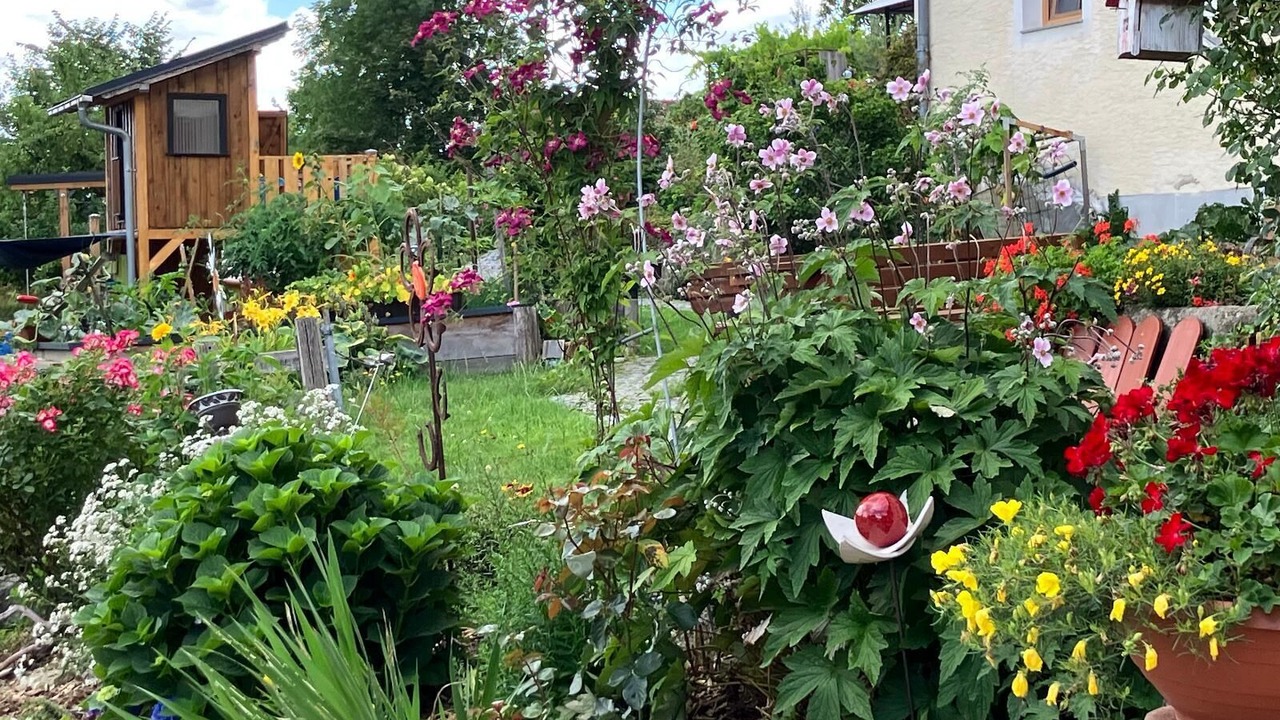 Photo of Outdoor in Grafenau