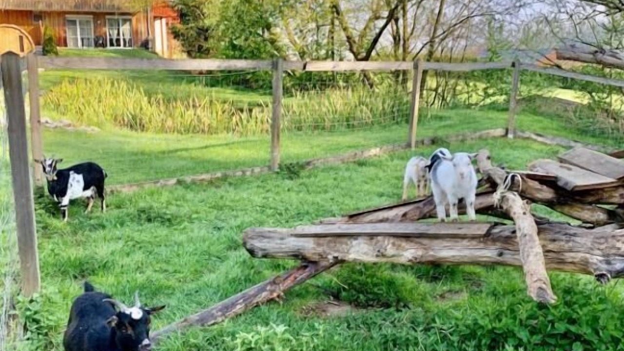 Photo of Outdoor in Schlatzendorf