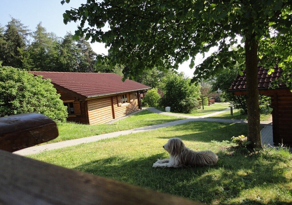 Photo of Outdoor in Stamsried