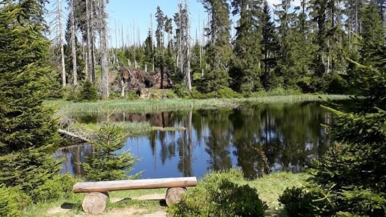 Photo of Outdoor in Regenhutte