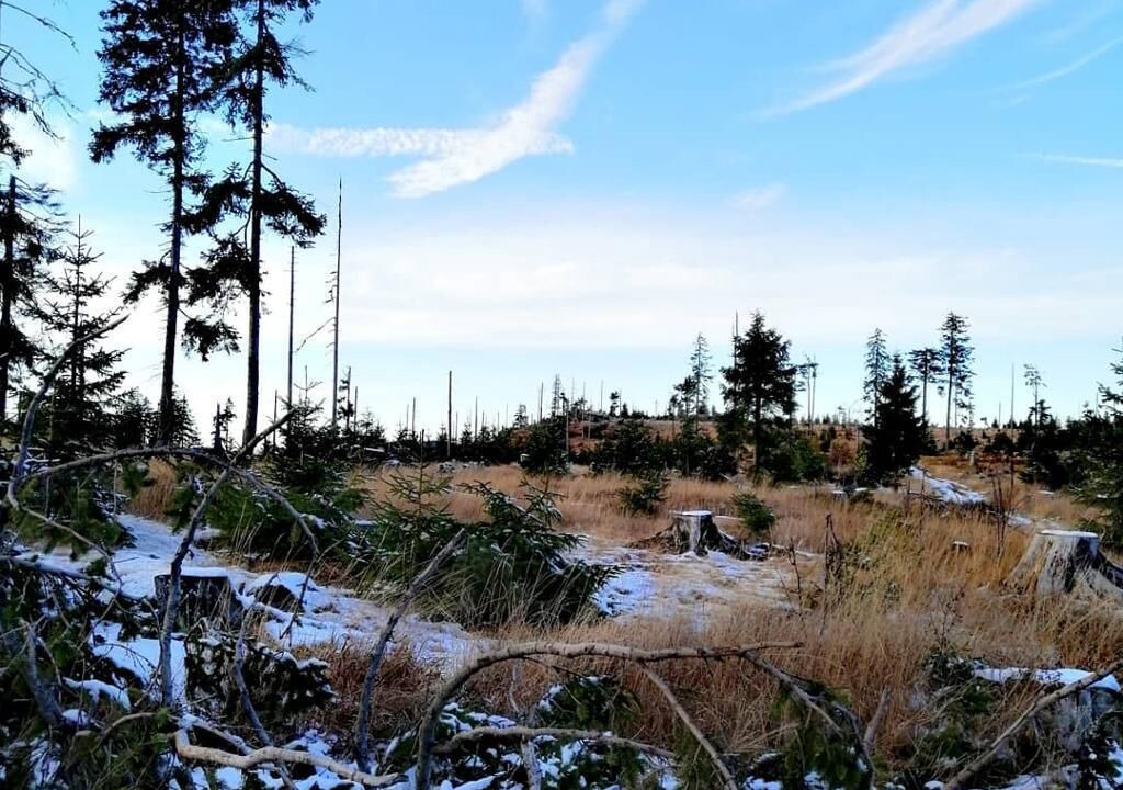 Photo of Outdoor in Regenhutte