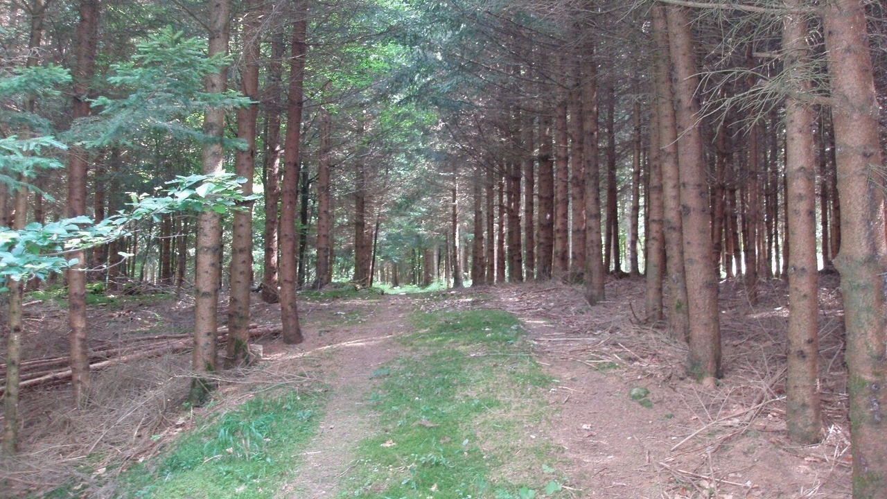 Photo of Outdoor in Ramsberg