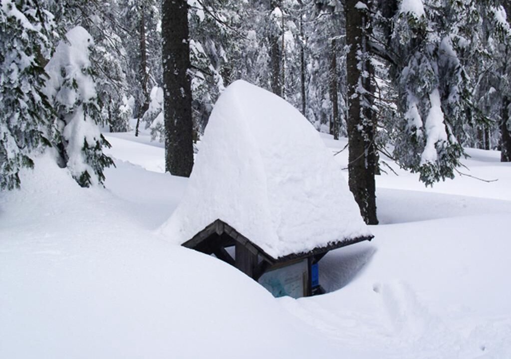 Photo of Outdoor in Bodenmais