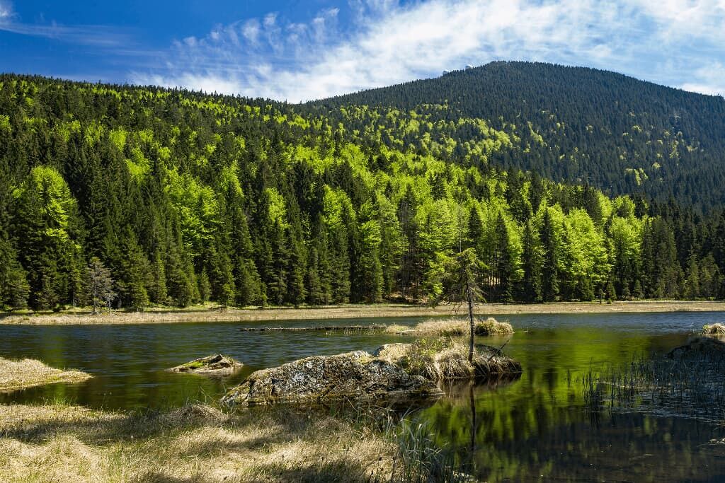 Photo of Outdoor in Lohberg