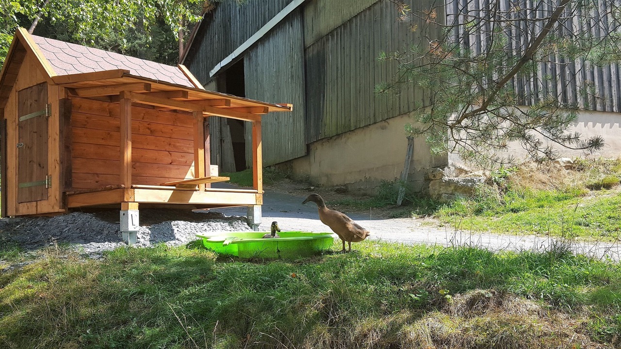Photo of Outdoor in Weissenstadt