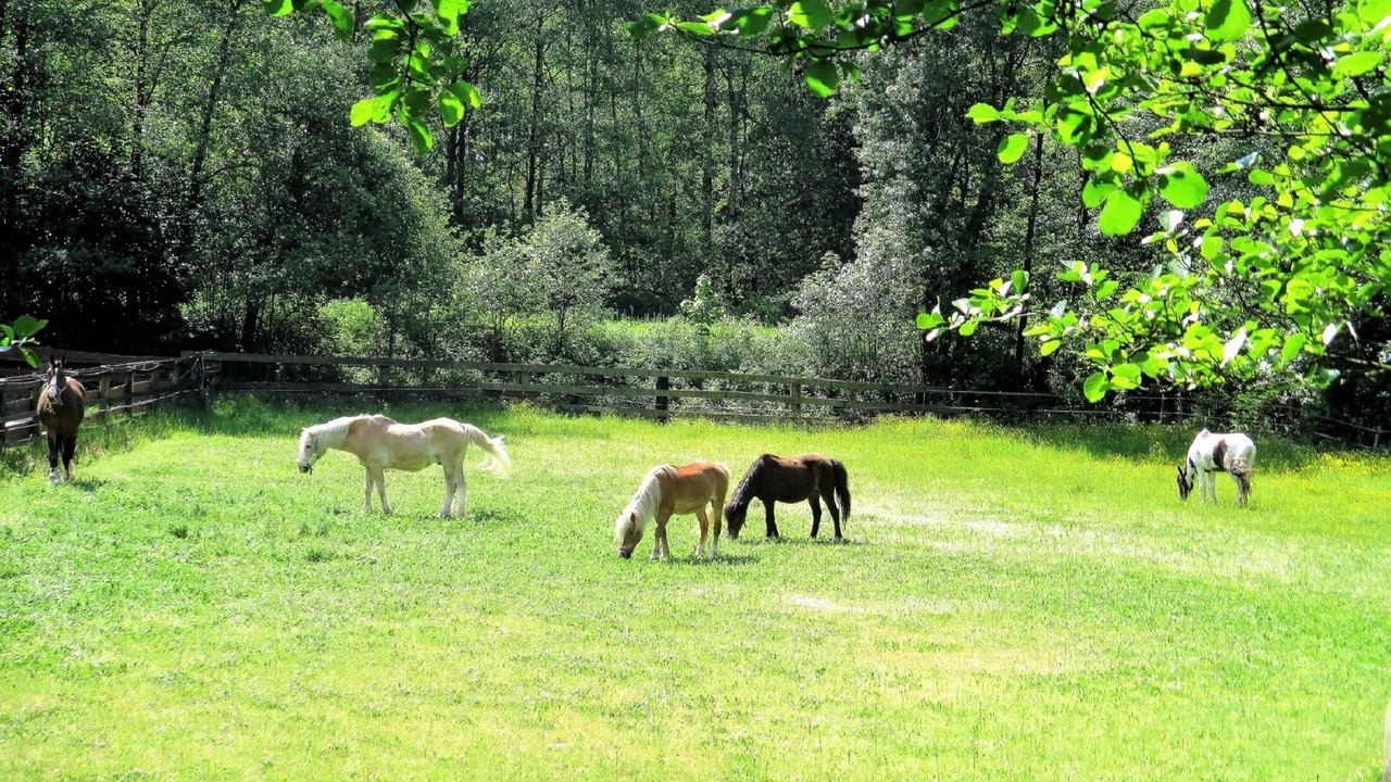 Photo of Outdoor in Weissenstadt